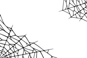 Spider web corners on white background. Spooky Halloween cobweb. Vector illustration