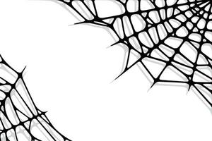 Spider web corners on white background. Spooky Halloween cobweb. Vector illustration