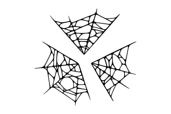 Spider web isolated on white background. Spooky Halloween cobweb. Vector illustration