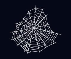 Spider web isolated on black background. Spooky Halloween cobweb. Vector illustration