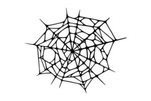 Spider web isolated on white background. Spooky Halloween cobweb. Vector illustration