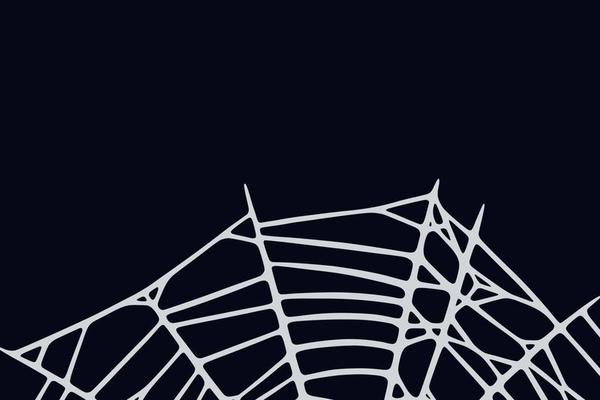 Spider web on black background. Spooky Halloween cobweb. Vector illustration