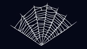 Spider web isolated on black background. Spooky Halloween cobweb. Vector illustration