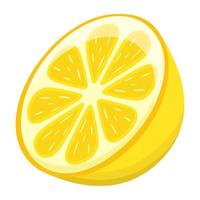 Modern flat illustration of lemon vector