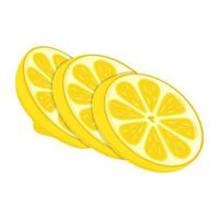 Modern flat illustration of lemon vector