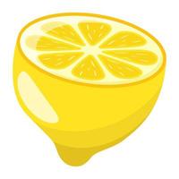 Modern flat illustration of lemon vector