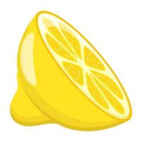 Modern flat illustration of lemon vector