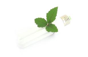 Energy saving lamp with green leaf on white photo