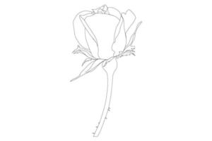 rose flowers drawing with line-art on white backgrounds. Vector outline flowers. Line art coloring page with roses and leaves