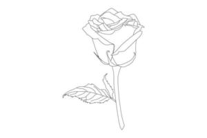 rose flowers drawing with line-art on white backgrounds. Vector outline flowers. Line art coloring page with roses and leaves