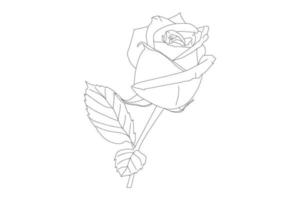 dibujo de flores color de rosa con arte lineal sobre fondos blancos. flores de contorno vectorial. página de color de arte lineal con rosas y hojas vector