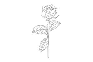 rose flowers drawing with line-art on white backgrounds. Vector outline flowers. Line art coloring page with roses and leaves