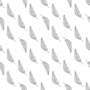 patrón sin costuras con plumas abstractas. fondo de pájaros simples. vectores en blanco y negro