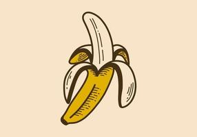 Brown yellow color of a opened banana vector