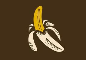 Vintage art drawing of a banana opened vector