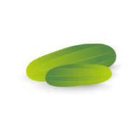 Two realistic green cucumber png