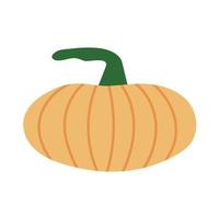 Cute vector flat style pumpkin illustration