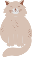 bicho de estimação. gato fofo png