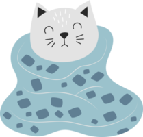 Pet cat in a warm blanket png