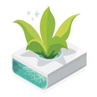 hydroponic close up isometric vector