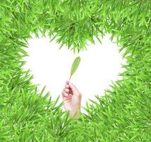 isolated green heart grass photo frame with    hand