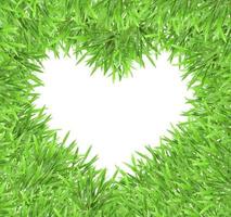 marco de fotos de hierba de corazón verde aislado