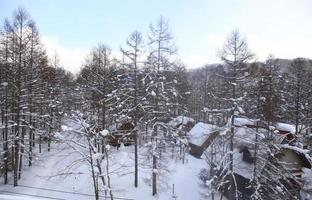 casas cubiertas de nieve foto