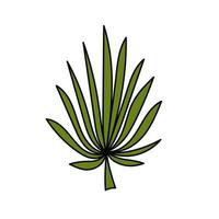 Palm leaf. Tropical plant. Simple illustration. Summer icon vector