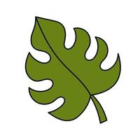 Monstera leaf, tropical plants. Simple illustration. Summer icon vector