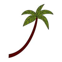 Doodle style palm tree. Simple illustration. Tropical summer icon vector