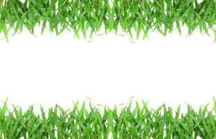 Grass frame with space for text photo