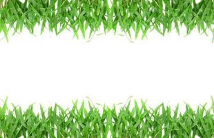 Grass frame with space for text photo