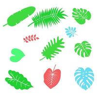 Set of tropical element vector