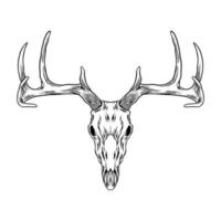 Deer head skull vector Art