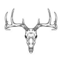 Deer head skull vector Art