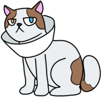 ilustração de desenhos animados de gato gatinho fofo png