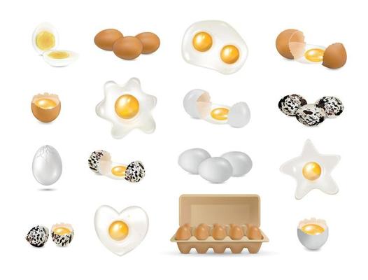 Eggs Realistic Set