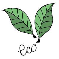 Two leaves of the plant with the inscription ECO. Doodle object vector