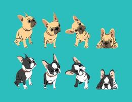 lindo bulldog francés en algunos movimientos diferentes ilustración vectorial vector