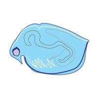 Plankton or water flea shameless vector icon. Cartoon vector icon isolated on white background.