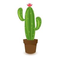 Cactus icons in flat style on white background. Homemade cactus in a pot and flowers. Variety of decorative cacti with thorns vector