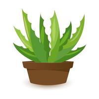 Cactus icons in flat style on white background. Homemade cactus in a pot and flowers. Variety of decorative cacti with thorns vector