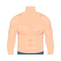 Vector illustration of a male torso