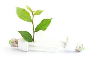 Energy saving lamp with green seedling on white photo