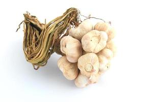 Ripe garlics isolated on a white background photo