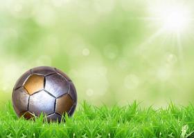 a soccer football on a fresh green background photo