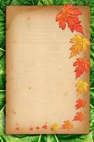 autumn background with colored leaves photo