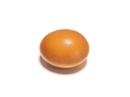 Organic brown chicken egg on white background photo