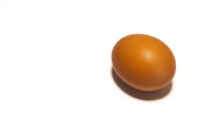 Organic brown chicken egg on white background photo