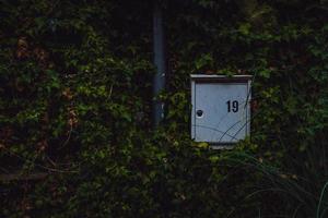 Silver mailbox with nineteen digits nestled inside hedge in Durbuy Belgium photo